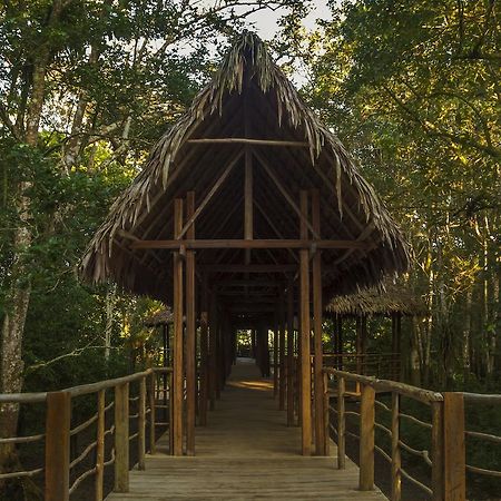 Treehouse Lodge Yucuruche Exterior foto