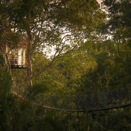 Treehouse Lodge Yucuruche Exterior foto