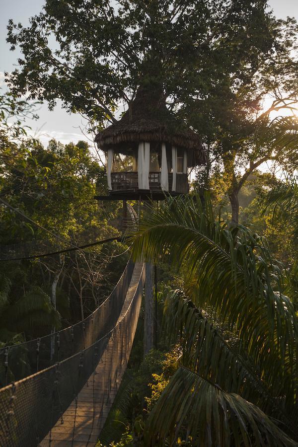 Treehouse Lodge Yucuruche Exterior foto