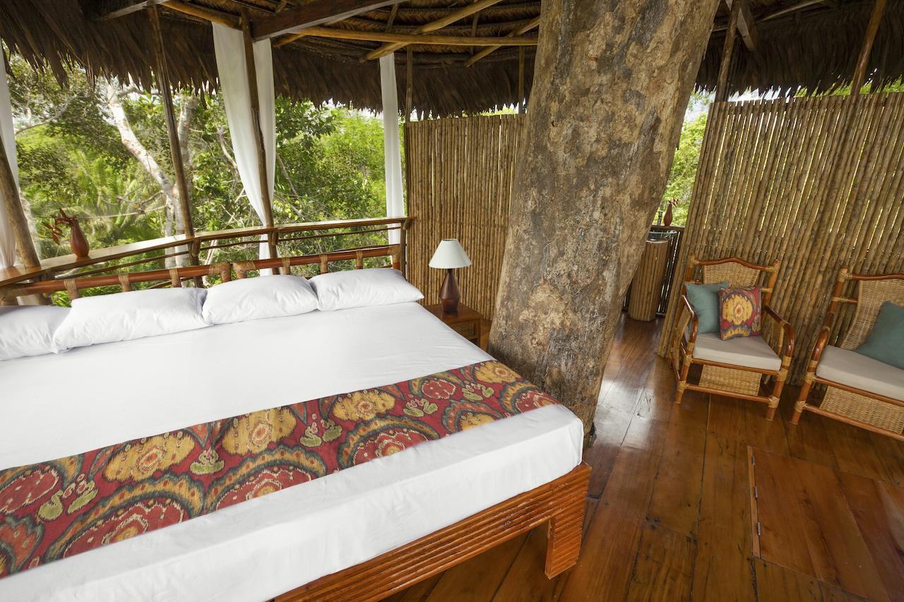 Treehouse Lodge Yucuruche Zimmer foto