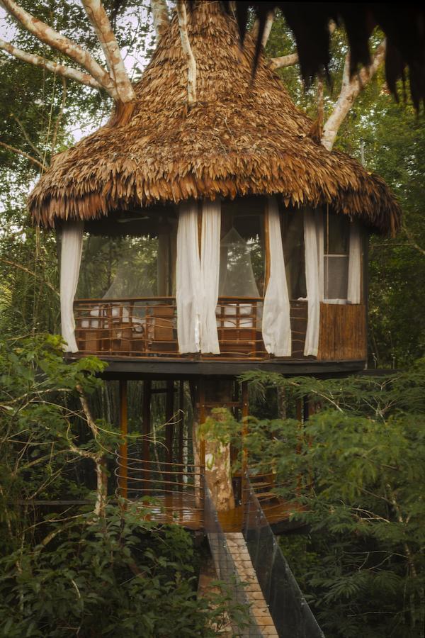 Treehouse Lodge Yucuruche Exterior foto