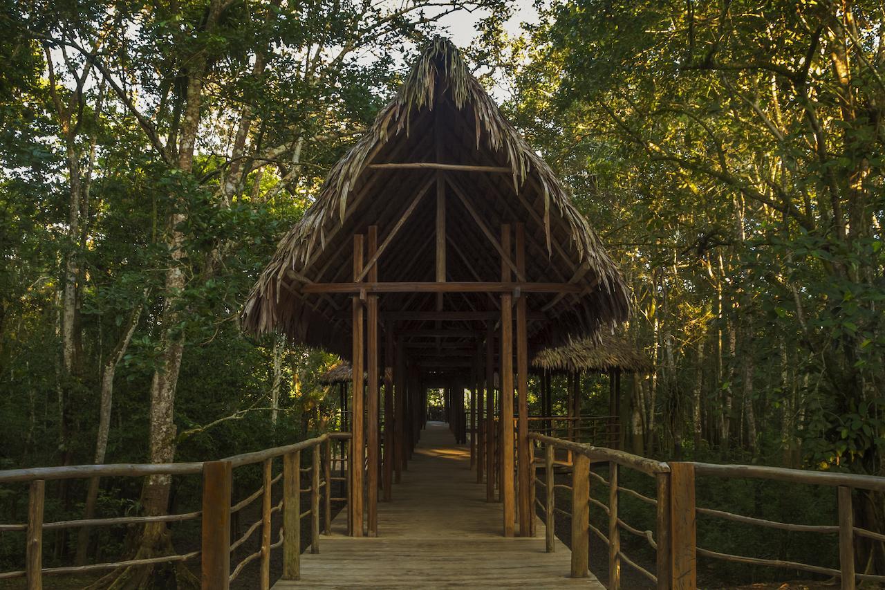 Treehouse Lodge Yucuruche Exterior foto