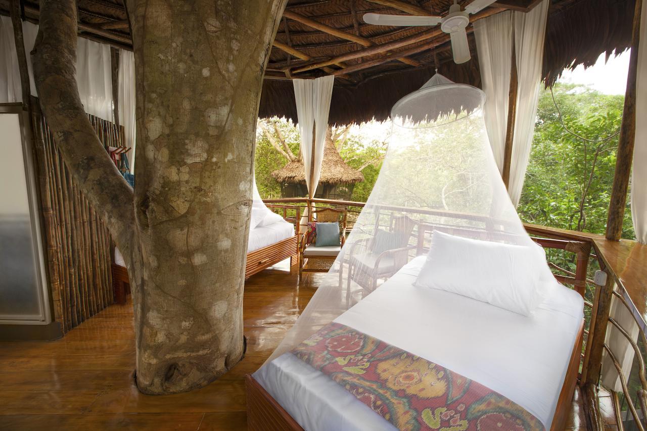 Treehouse Lodge Yucuruche Zimmer foto