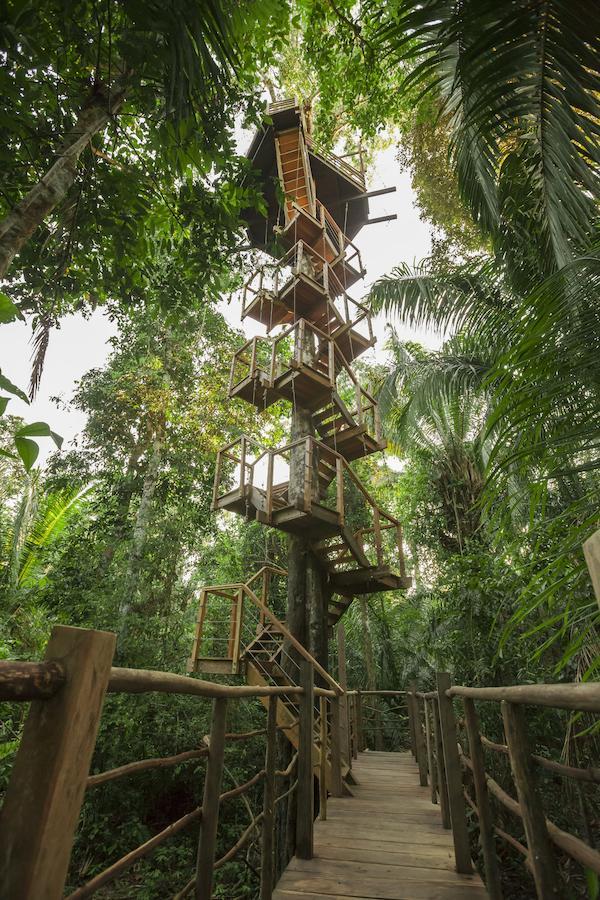 Treehouse Lodge Yucuruche Exterior foto