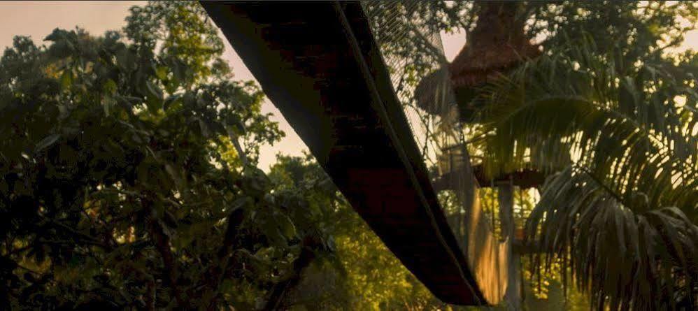 Treehouse Lodge Yucuruche Exterior foto