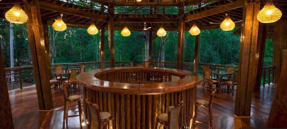 Treehouse Lodge Yucuruche Exterior foto