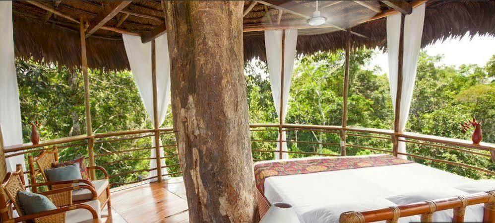Treehouse Lodge Yucuruche Exterior foto